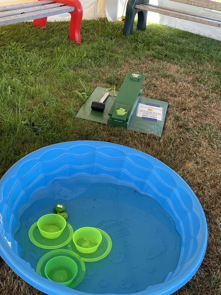Frog pounder activity at a fair